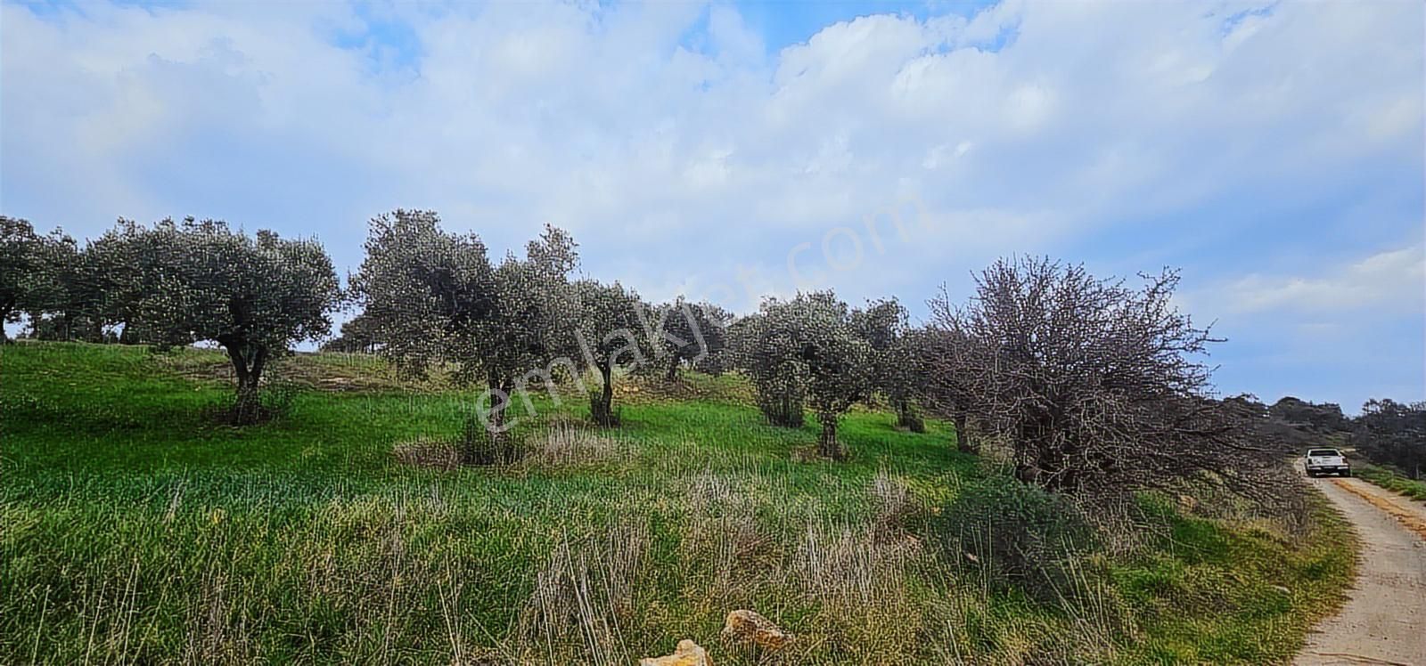 Kuzey Ege Limanına Hakim Büyük Parsel (36.478 M2) - Görsel 23