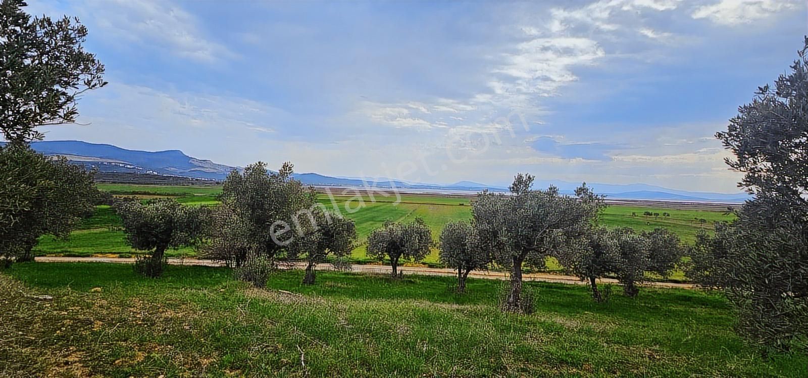 Kuzey Ege Limanına Hakim Büyük Parsel (36.478 M2) - Görsel 13