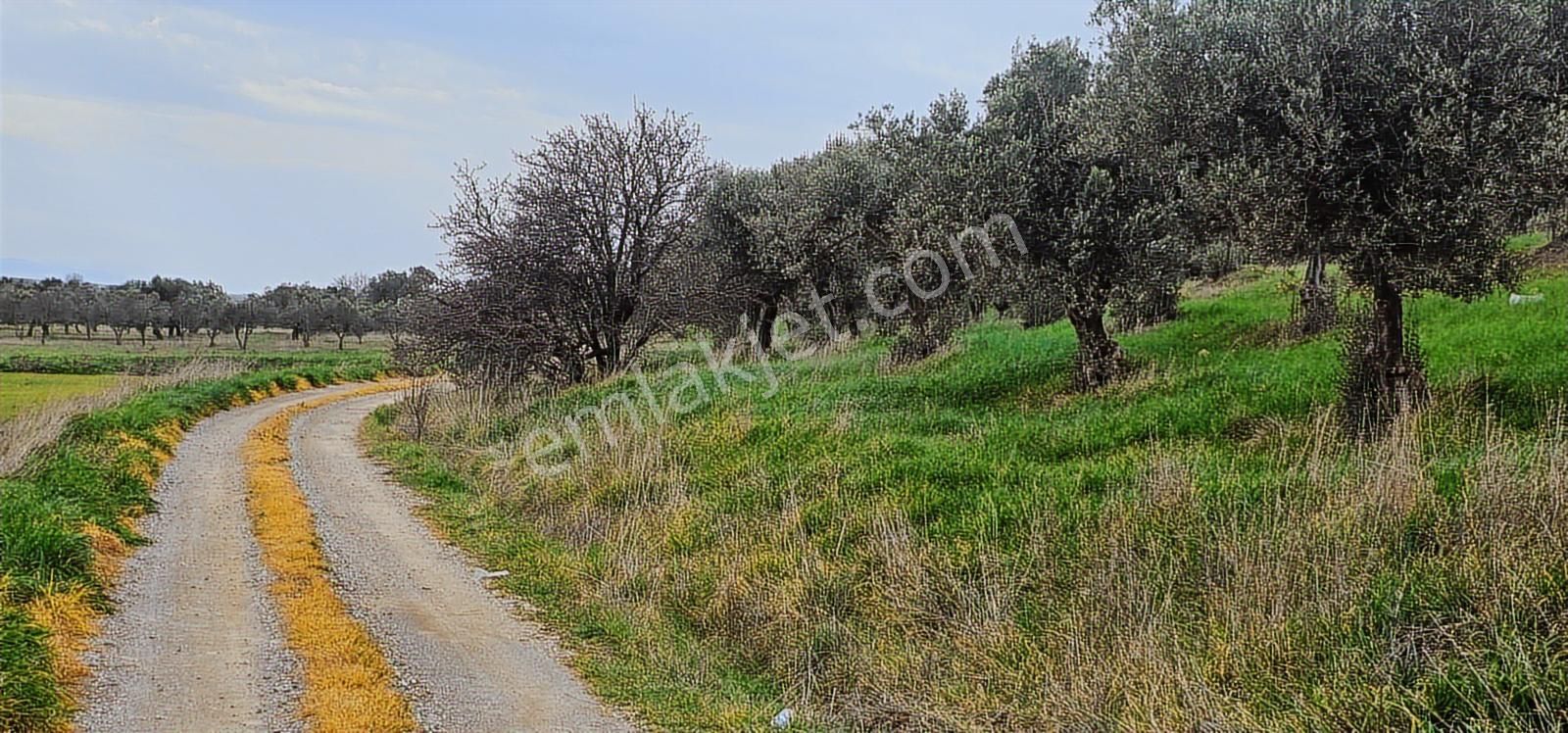 Kuzey Ege Limanına Hakim Büyük Parsel (36.478 M2) - Görsel 26