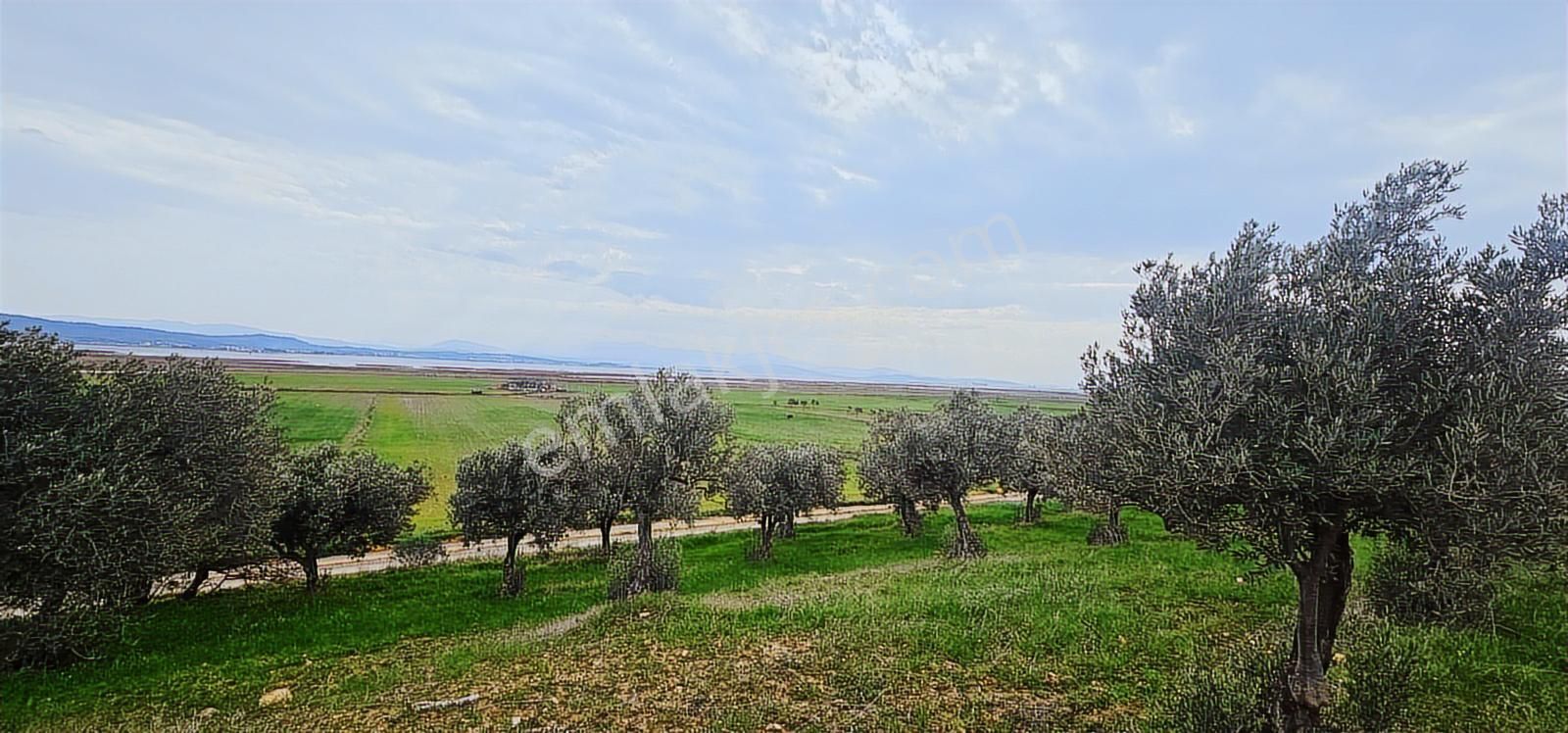 Kuzey Ege Limanına Hakim Büyük Parsel (36.478 M2) - Görsel 3