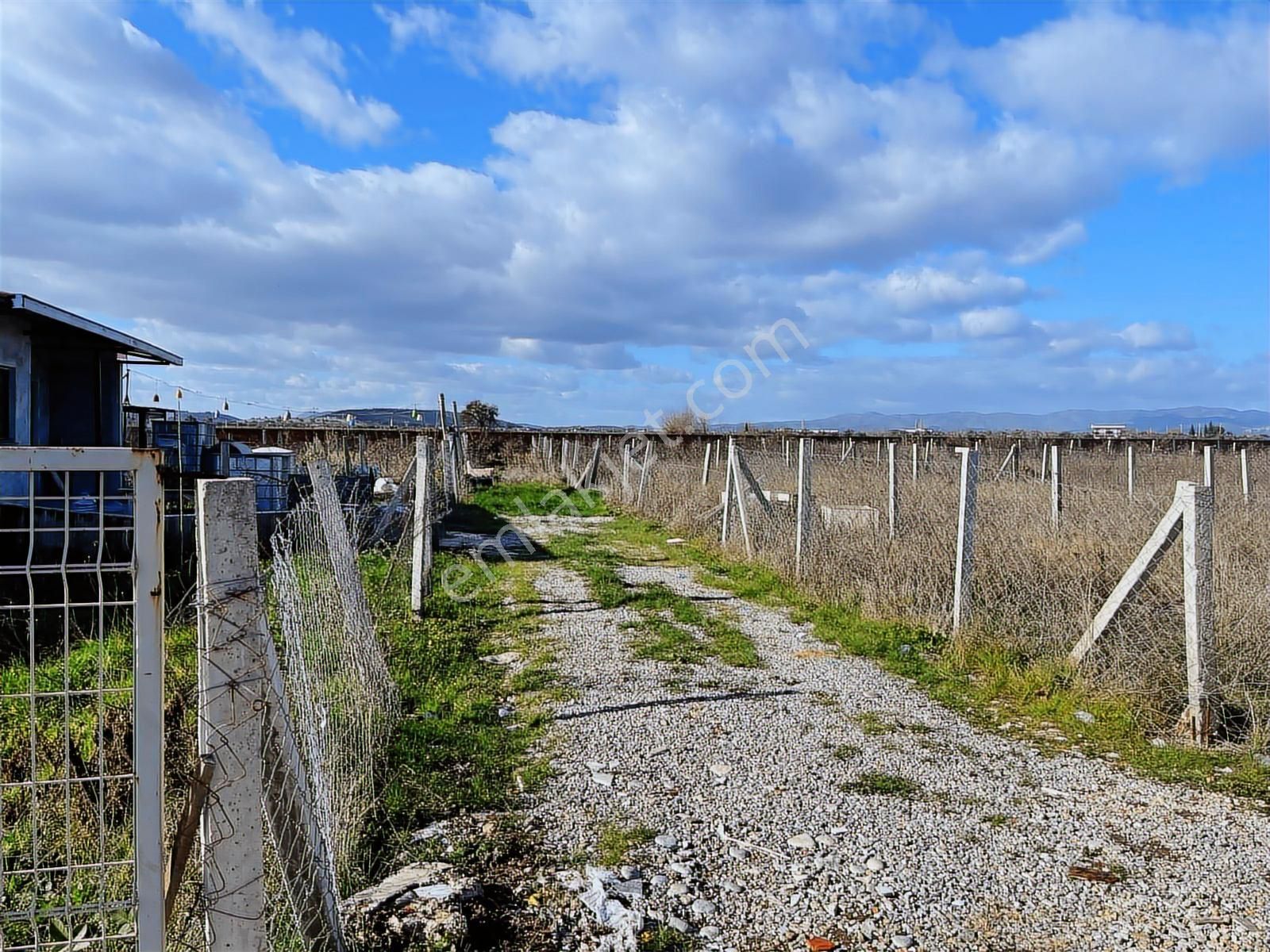 Menderes Oglananasinda Hisse Tapulu Tarla - Görsel 4