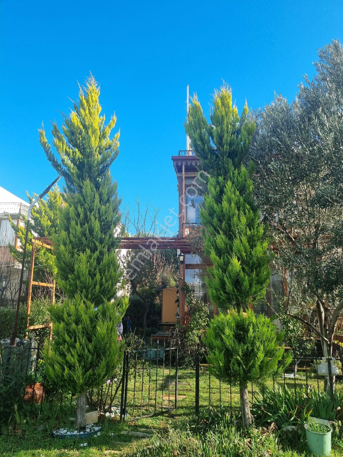 Premar Ayvada'dan Gömeç Karaağaç Sahil'de Site İçinde Özel Yapılı Tripleks - Görsel 2