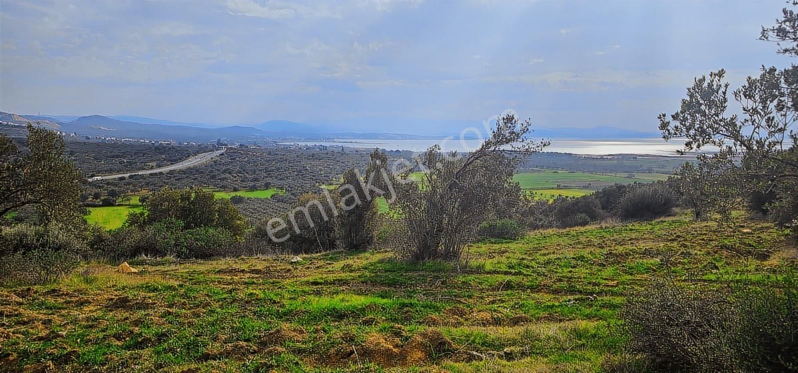 Zeytindağ'da Stratejık Konumlu,verimli Zeytinlik /arazi Yatırımı - Görsel 26