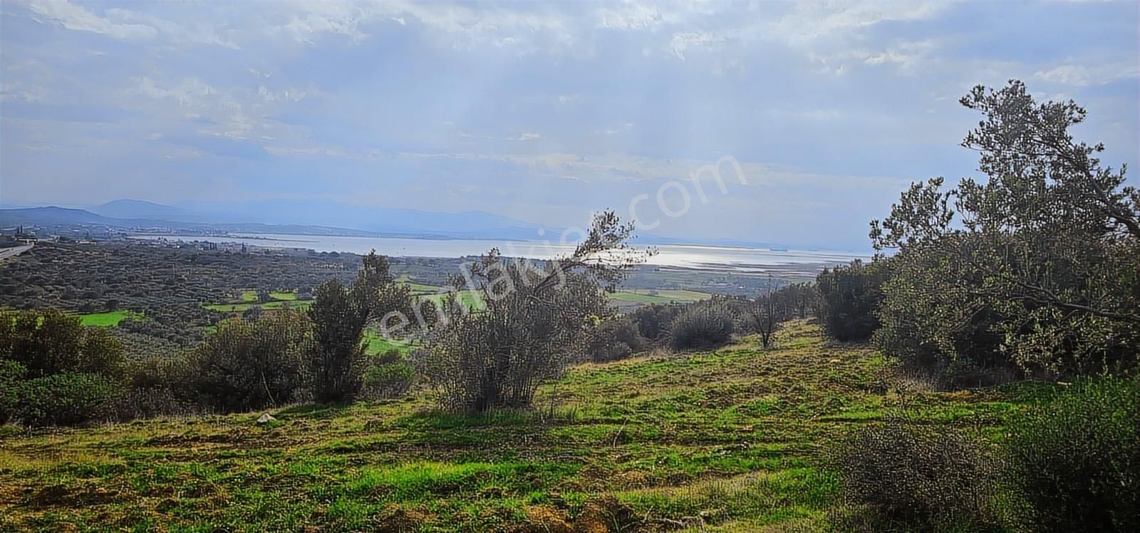 Zeytindağ'da Stratejık Konumlu,verimli Zeytinlik /arazi Yatırımı - Görsel 32