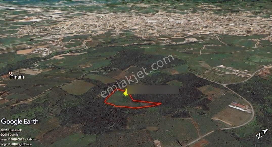 133-şeker Emlaktan İlçeye Yakın 23 Dönüm Uygun Satılık Fındık - Görsel 3