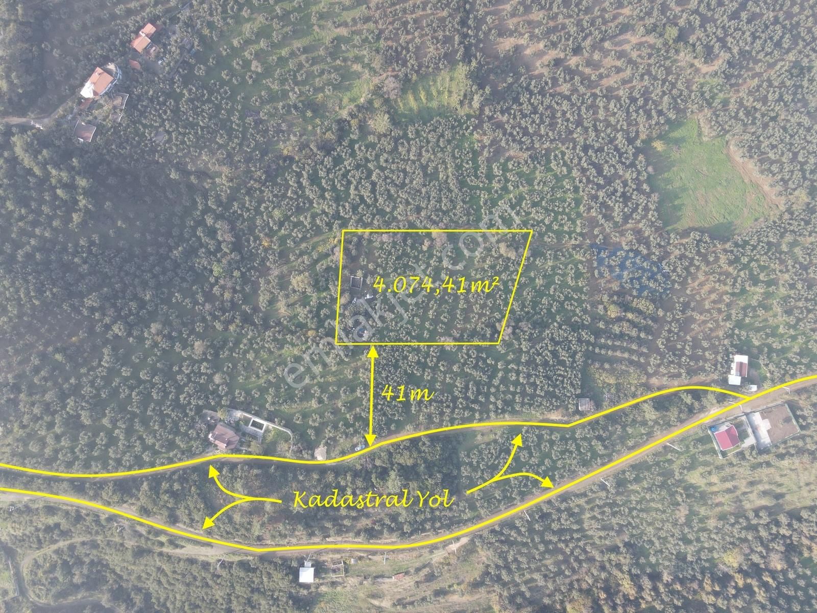 Mef Gyd'den Trilye'de İçine Ev Yapılabilen Satılık Zeytinlik !!! - Görsel 3