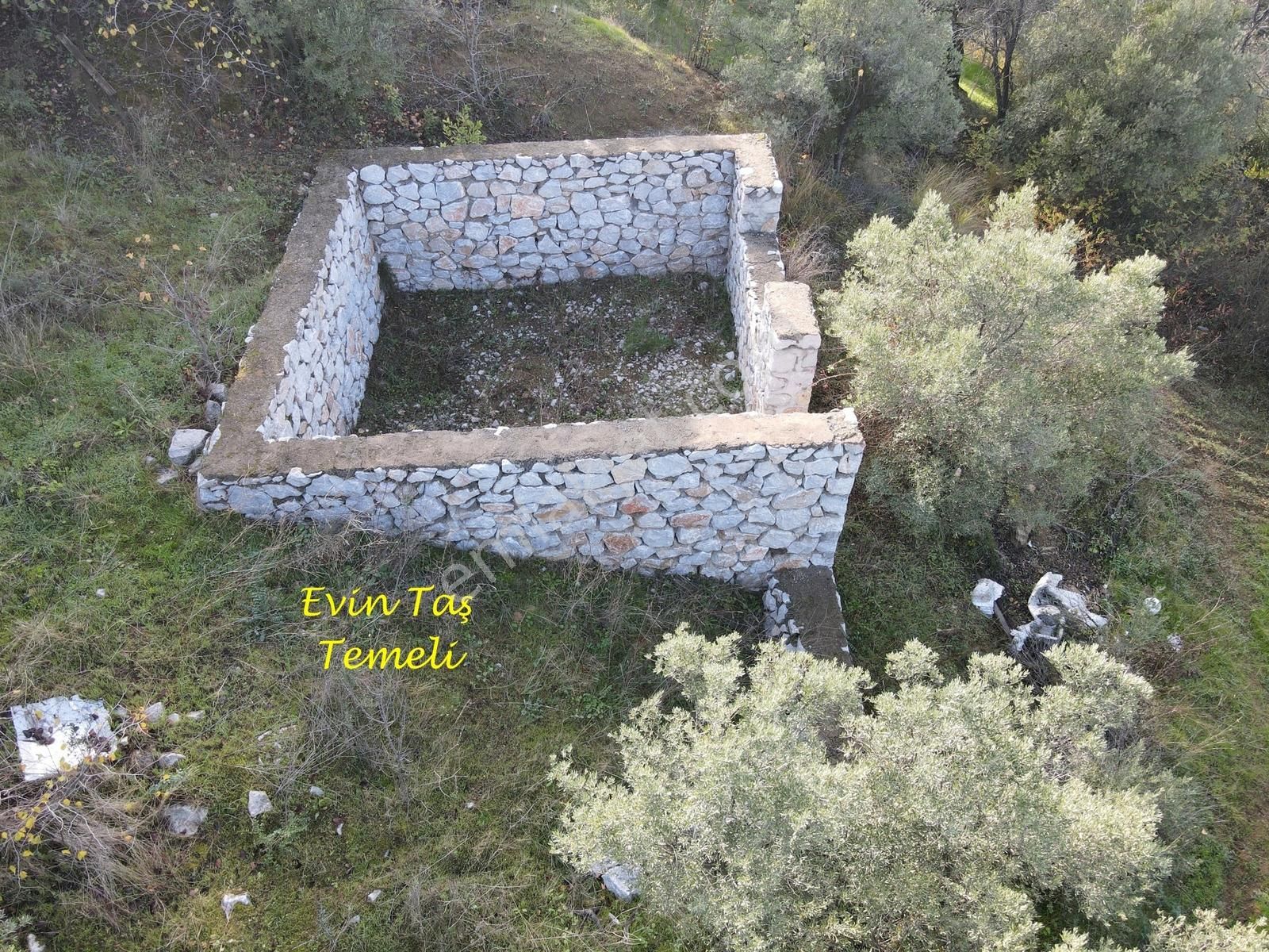 Mef Gyd'den Trilye'de İçine Ev Yapılabilen Satılık Zeytinlik !!! - Görsel 5