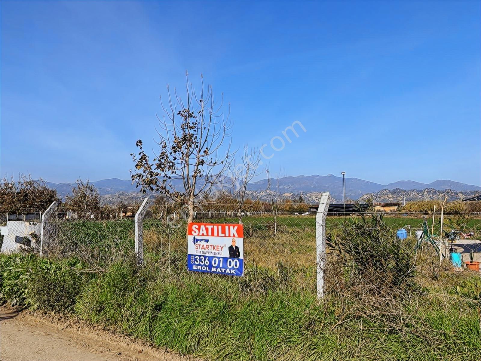 Aydın Efeler Umurlu Mahallesi Yarıkkavak Mevkii Satılık Çiftlik - Görsel 2