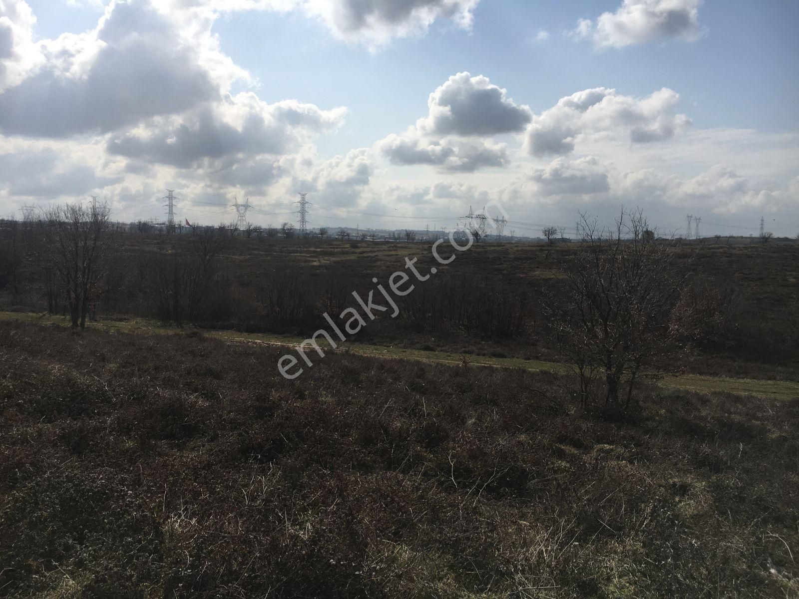 Pendik Kurna Köy De Yatırım Fırsatı - Görsel 5