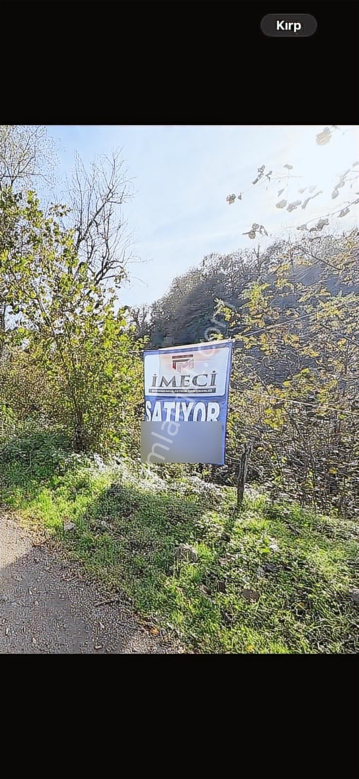 Ordu Perşembe Saray Mahallesi'nde Satılık Fındık Bahçesi - Görsel 4