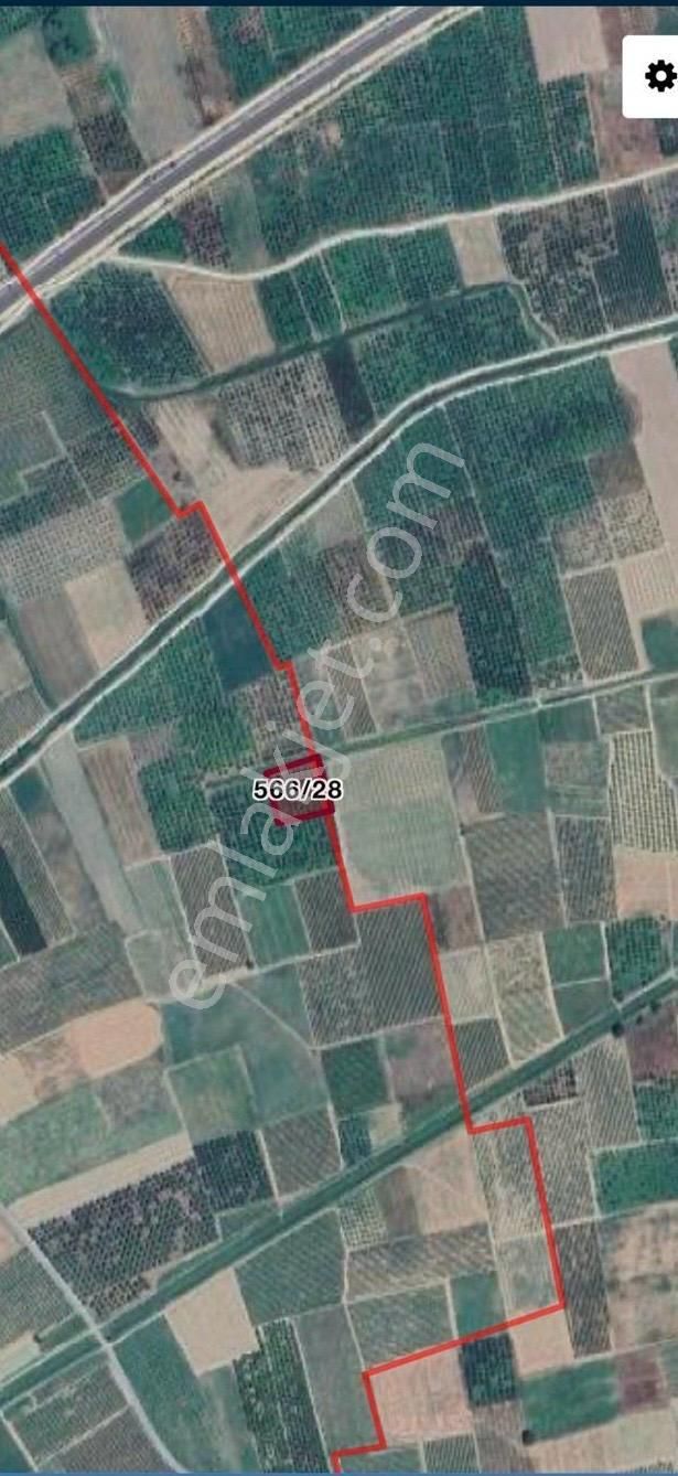 Pamukova İsabalıda 2259m2 Satılık Tarla