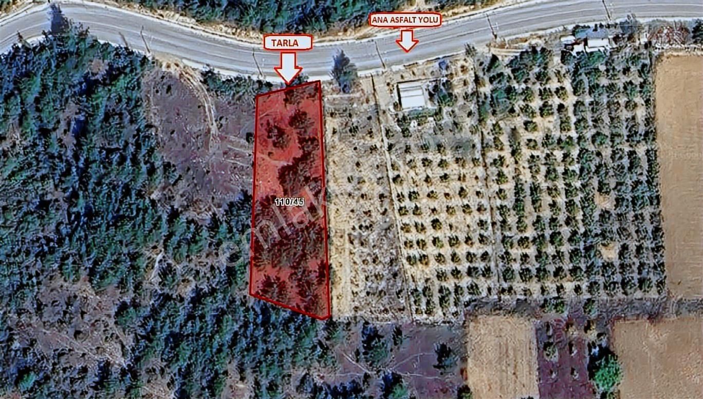 Ulucan'dan İnegöl Şipali Mahallesinde Hisseli Satılık Tarla - Görsel 3