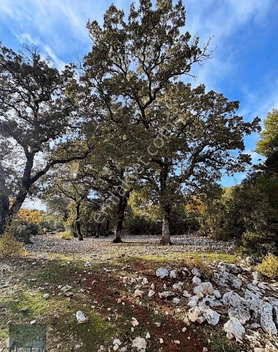 Venüs Emlak Demre Kaçırılmayacak Fiyatta Satılık Tarla - Görsel 15