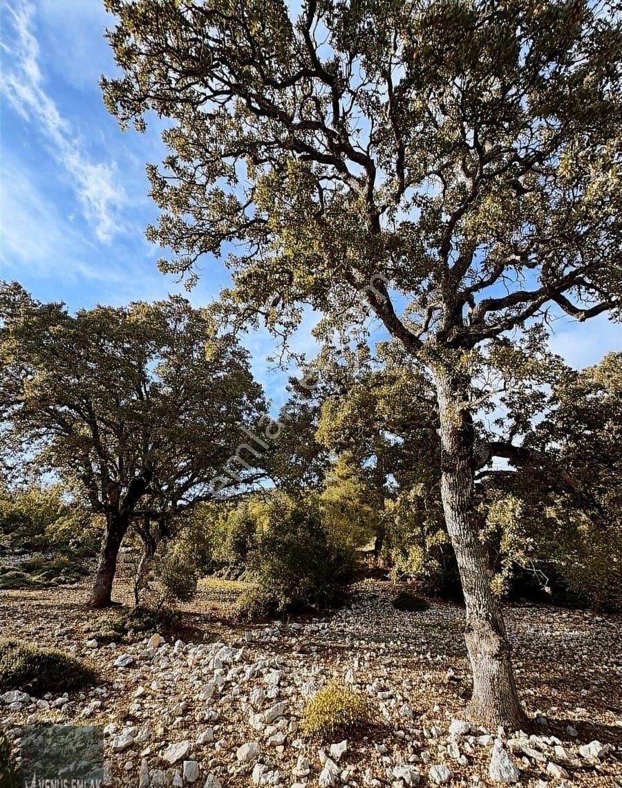 Venüs Emlak Demre Kaçırılmayacak Fiyatta Satılık Tarla - Görsel 8