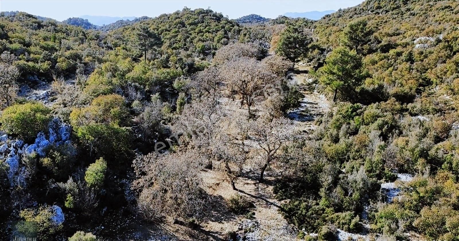 Venüs Emlak Demre Kaçırılmayacak Fiyatta Satılık Tarla - Görsel 7