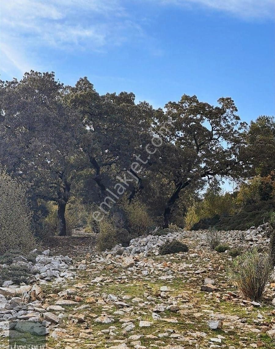 Venüs Emlak Demre Kaçırılmayacak Fiyatta Satılık Tarla - Görsel 14
