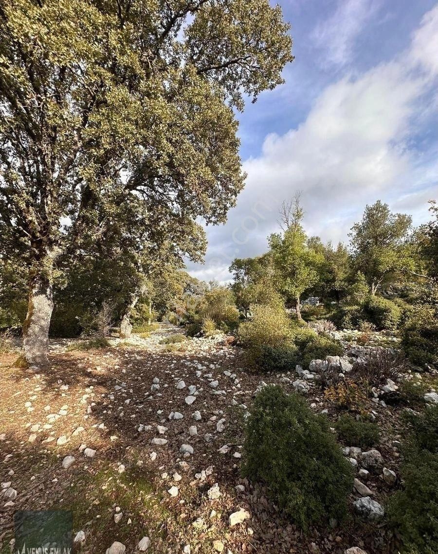 Venüs Emlak Demre Kaçırılmayacak Fiyatta Satılık Tarla - Görsel 18