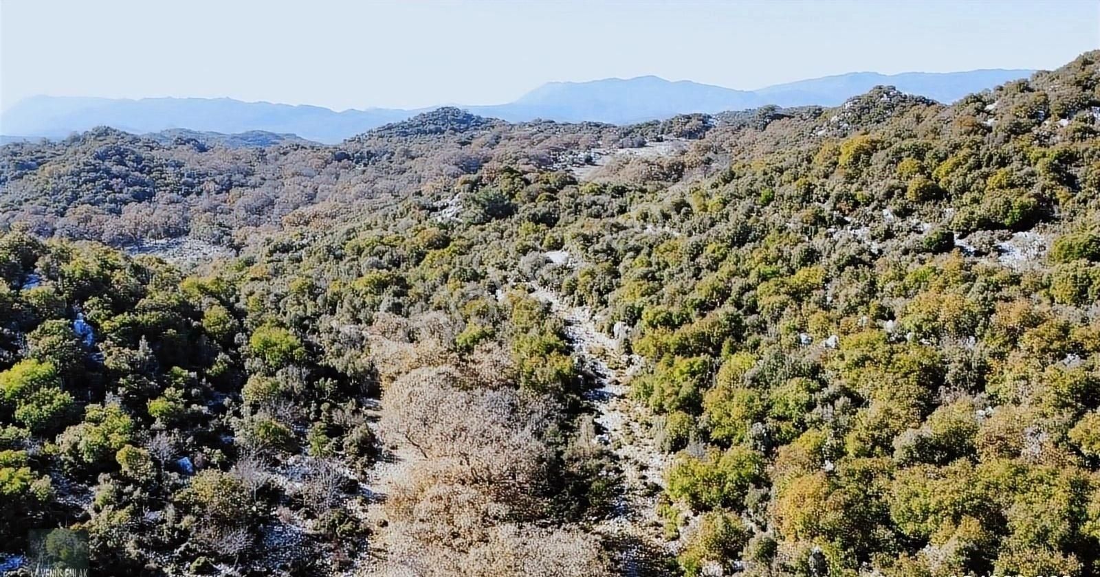 Venüs Emlak Demre Kaçırılmayacak Fiyatta Satılık Tarla - Görsel 4