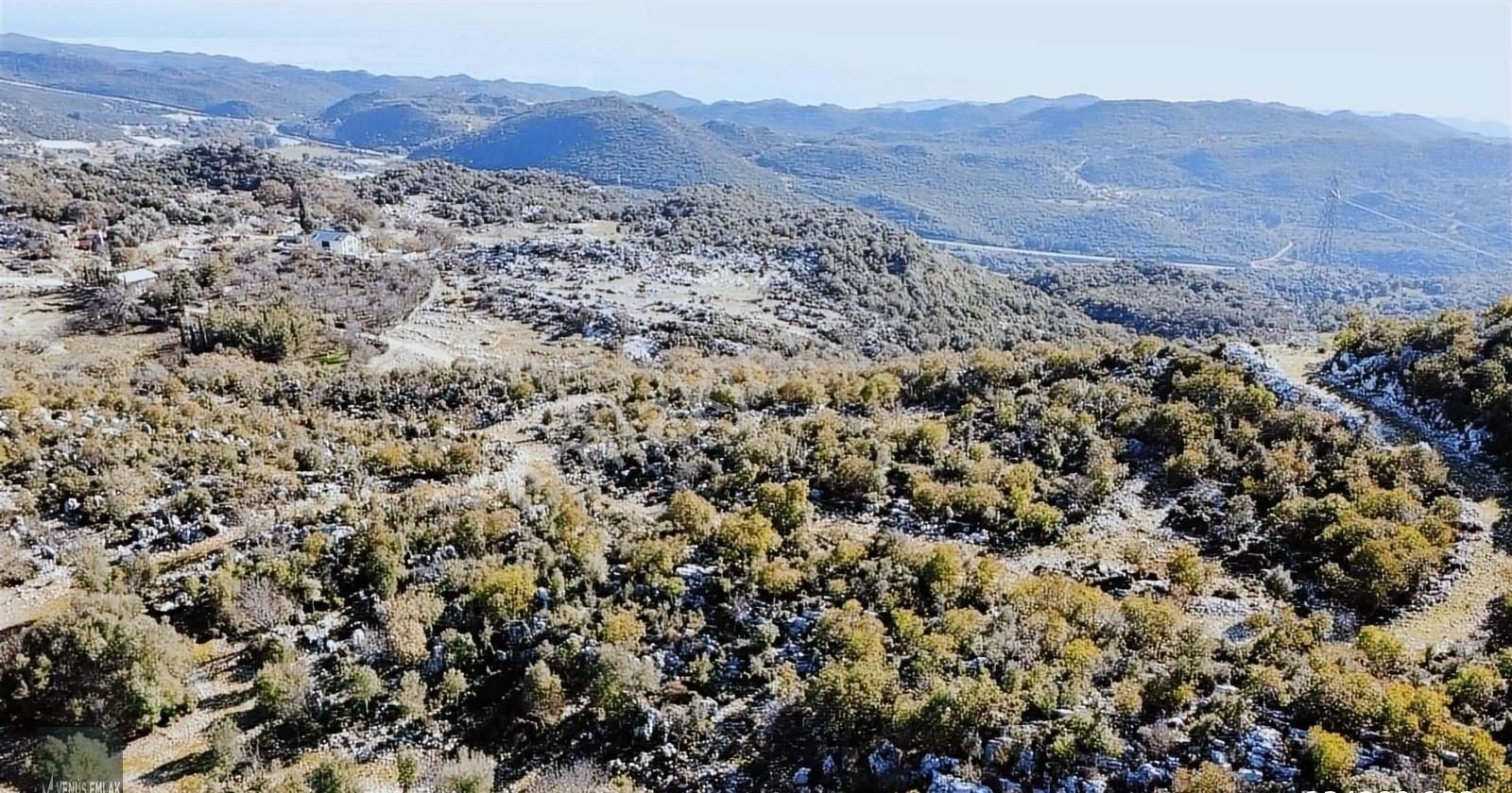 Venüs Emlak Demre Kaçırılmayacak Fiyatta Satılık Tarla - Görsel 2