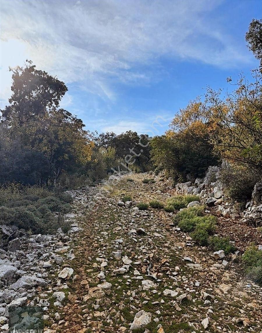 Venüs Emlak Demre Kaçırılmayacak Fiyatta Satılık Tarla - Görsel 12