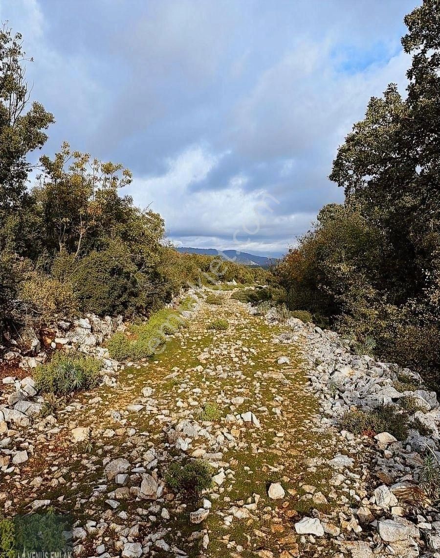 Venüs Emlak Demre Kaçırılmayacak Fiyatta Satılık Tarla