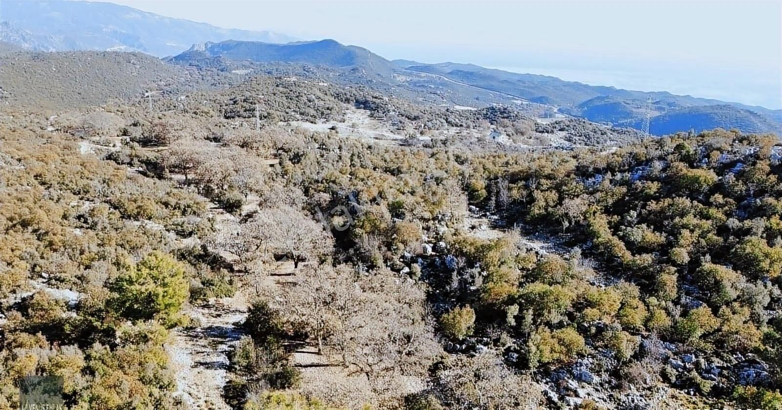 Venüs Emlak Demre Kaçırılmayacak Fiyatta Satılık Tarla - Görsel 21