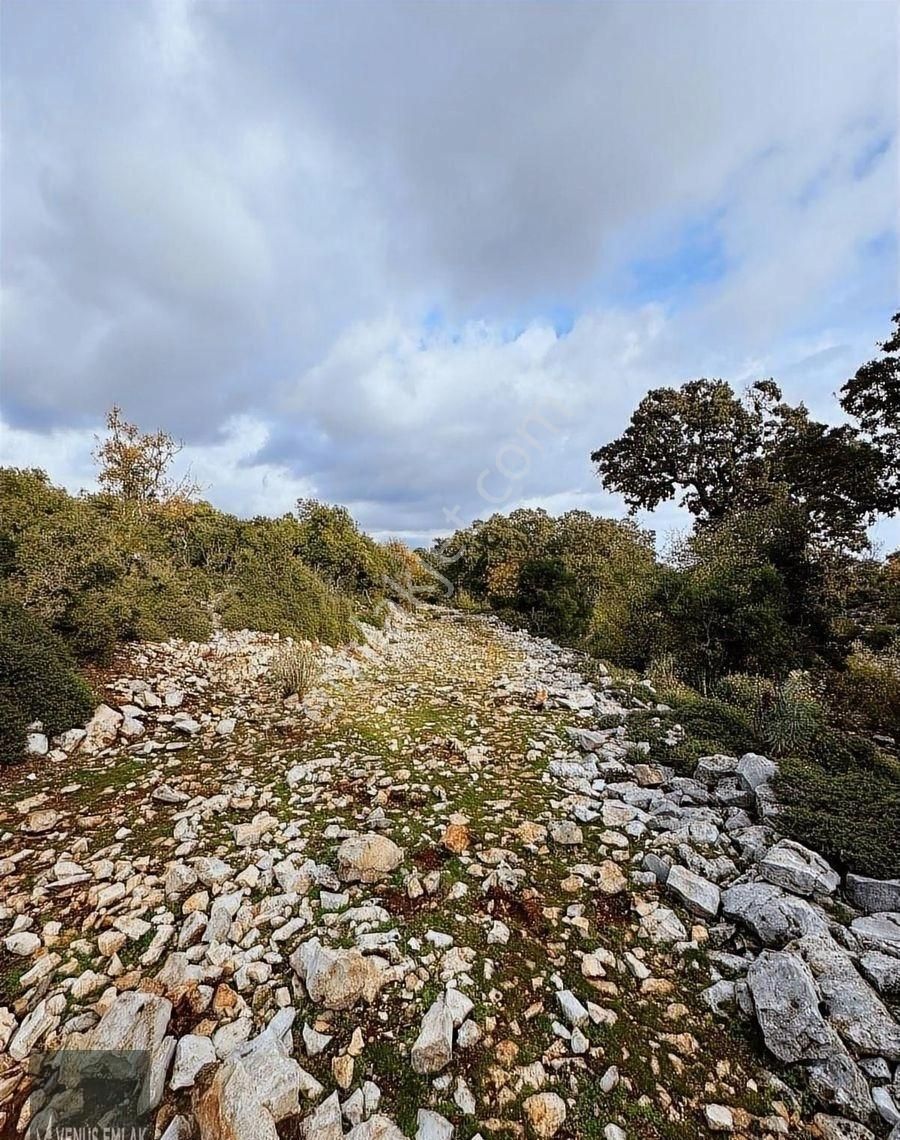 Venüs Emlak Demre Kaçırılmayacak Fiyatta Satılık Tarla - Görsel 9