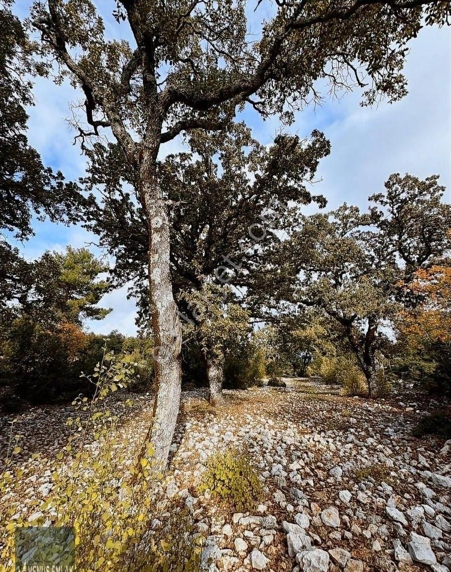 Venüs Emlak Demre Kaçırılmayacak Fiyatta Satılık Tarla - Görsel 10