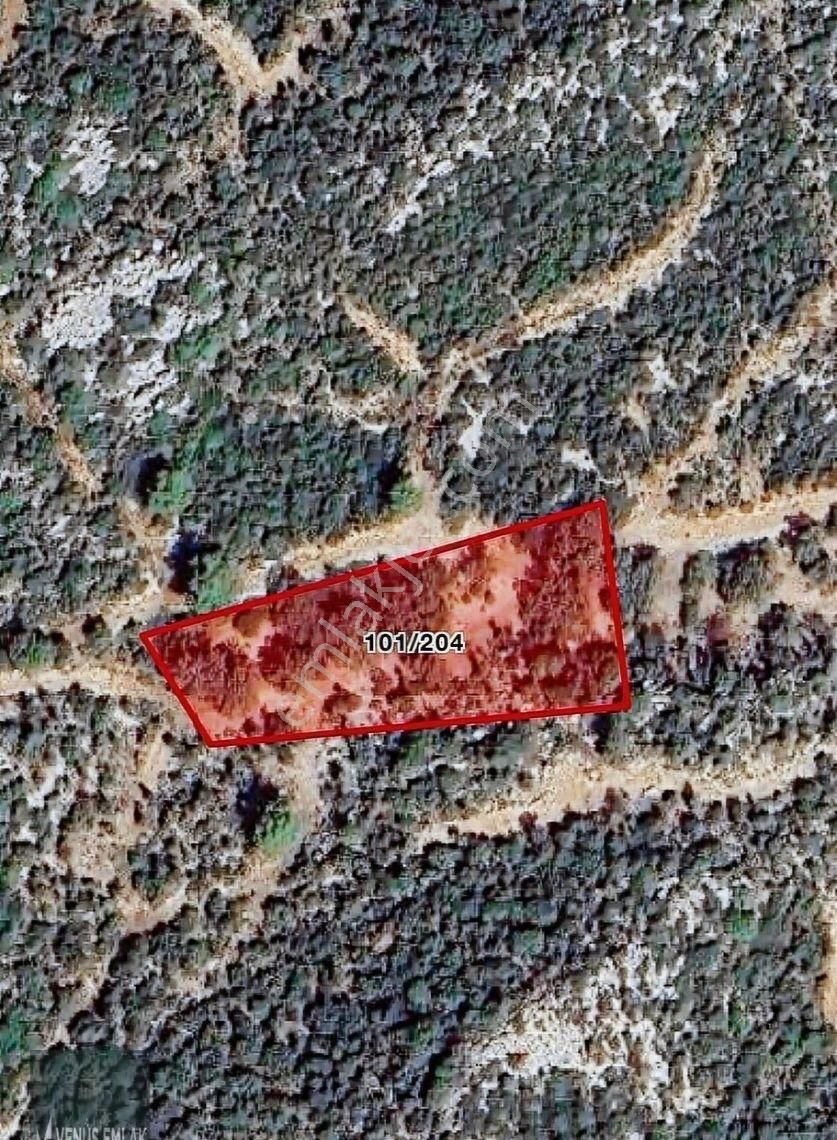 Venüs Emlak Demre Kaçırılmayacak Fiyatta Satılık Tarla - Görsel 17