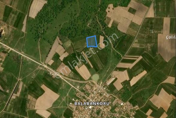 Edirne Balabankoru Satılık Tarla - Görsel 3