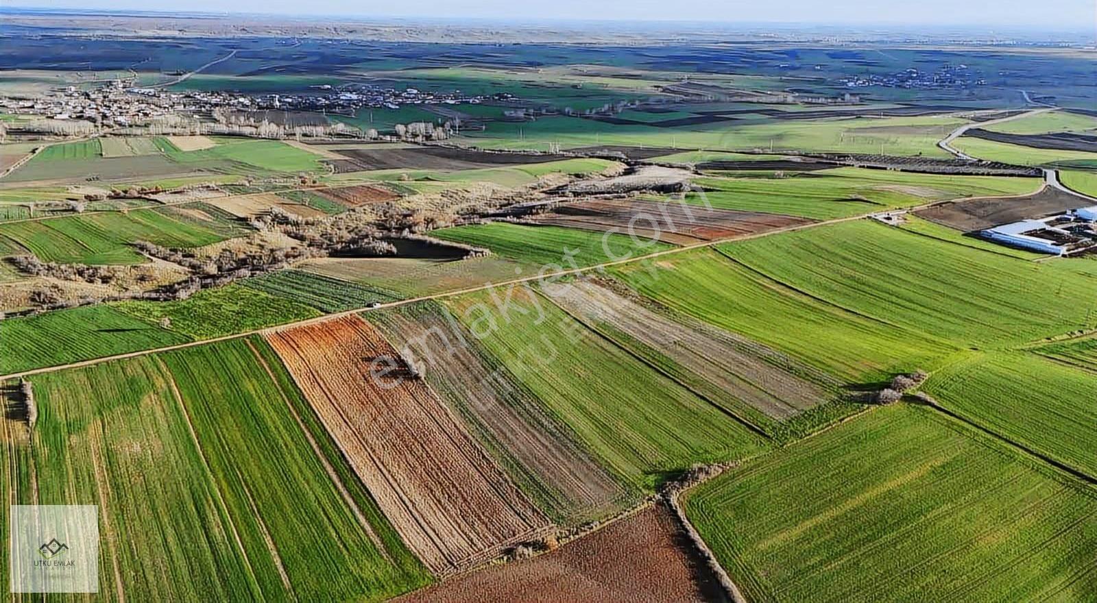 Babaeski Oruçlu Da 8317 M2 Satılık Tarla - Görsel 4
