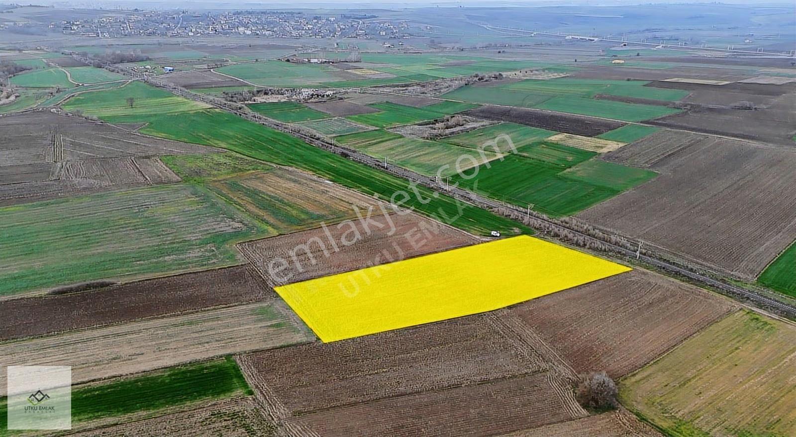 Babaeski Düğüncülü De 7626 M2 Satılık Tarla - Görsel 14