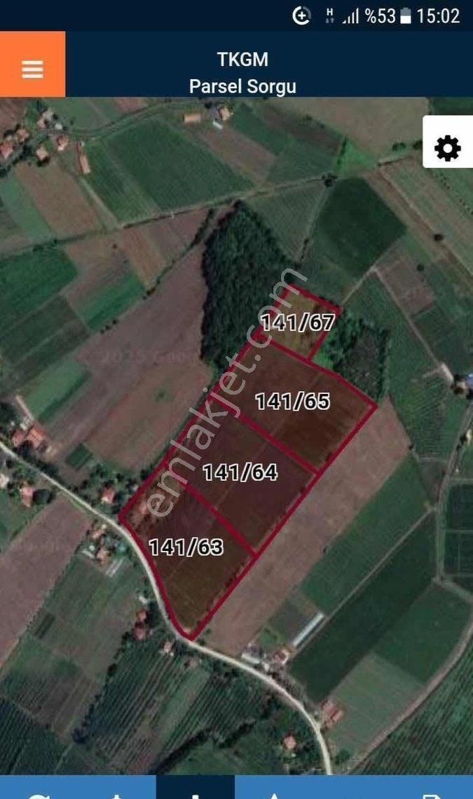 Samsun Çarşamba Çaltı Köyünde Acil Satılık 60 Dönüm Tarla