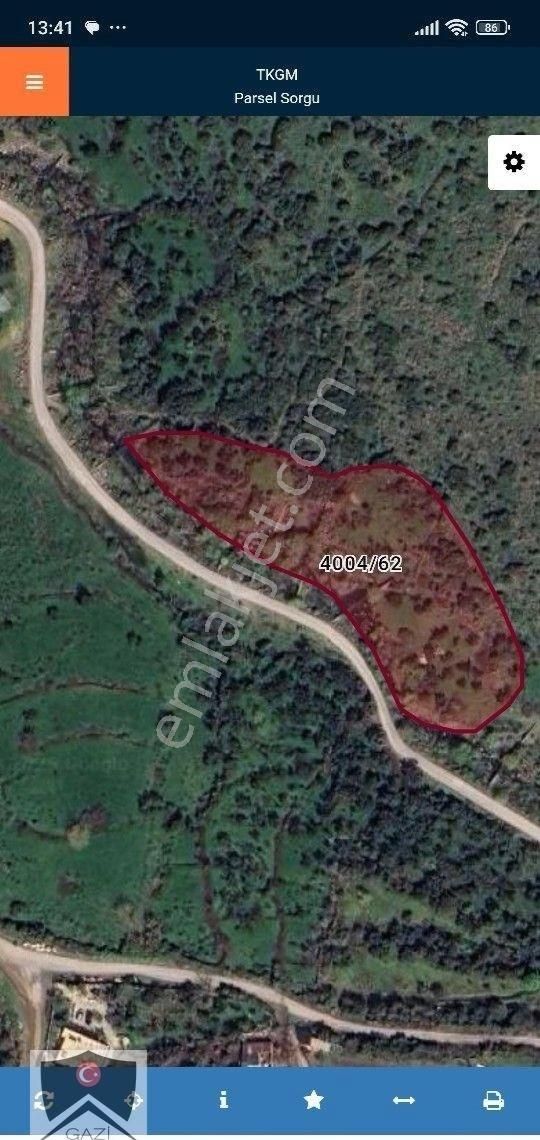 İzmir Aliağa Çıtak Mah 2893 M2 Zeytinligimiz Yeni Sahibini Bekliyor