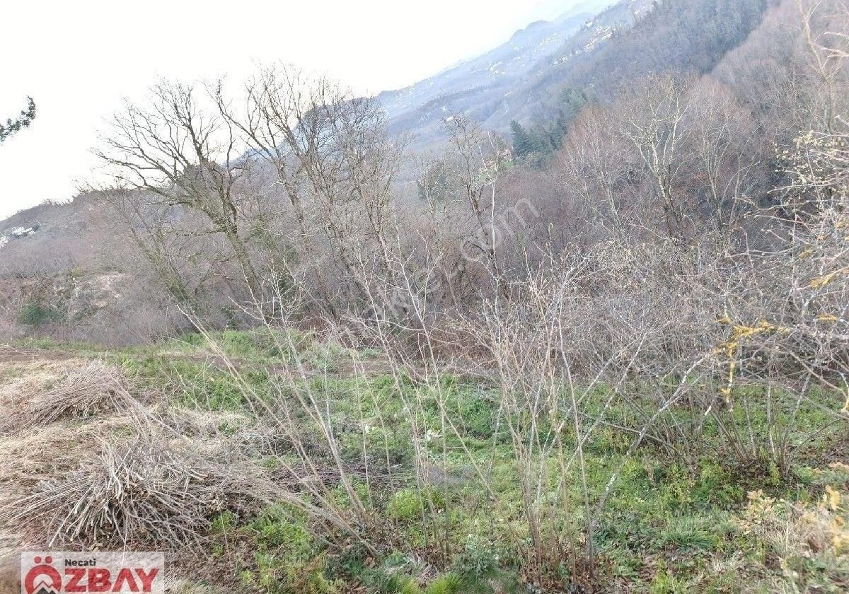 Kayadibi Mahallesinde Satılık 12 Dönüm Arazi - Görsel 2