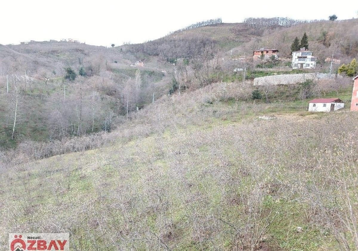 Kayadibi Mahallesinde Satılık 12 Dönüm Arazi - Görsel 8