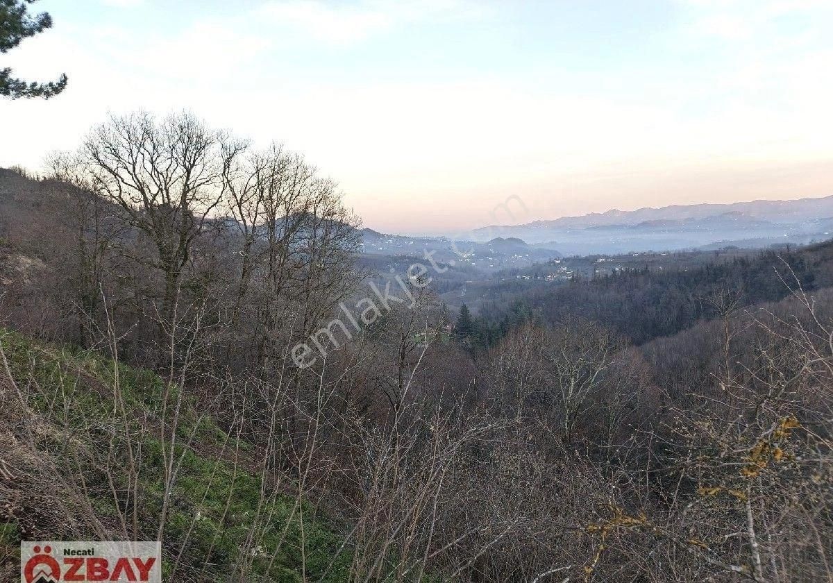 Kayadibi Mahallesinde Satılık 12 Dönüm Arazi - Görsel 3