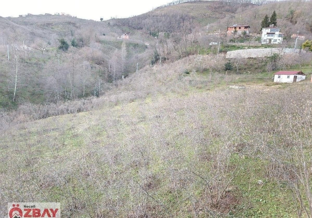 Kayadibi Mahallesinde Satılık 12 Dönüm Arazi - Görsel 13