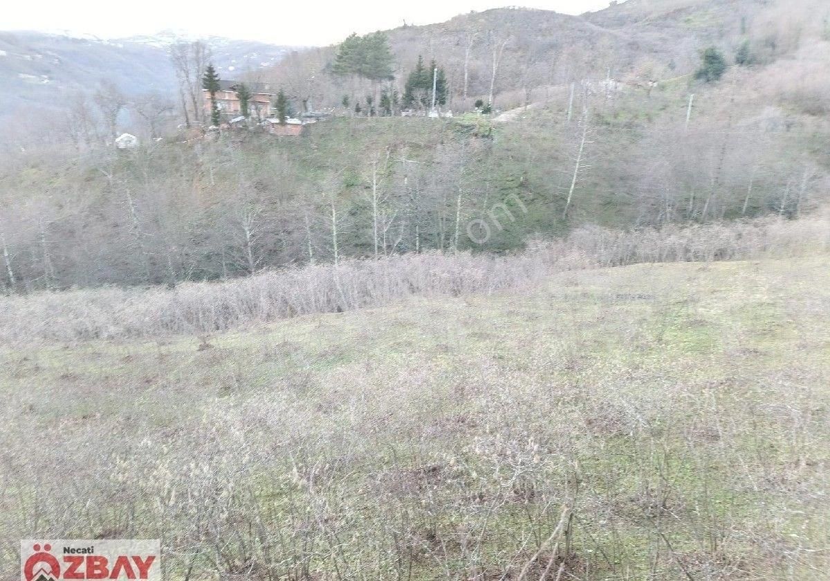 Kayadibi Mahallesinde Satılık 12 Dönüm Arazi - Görsel 10