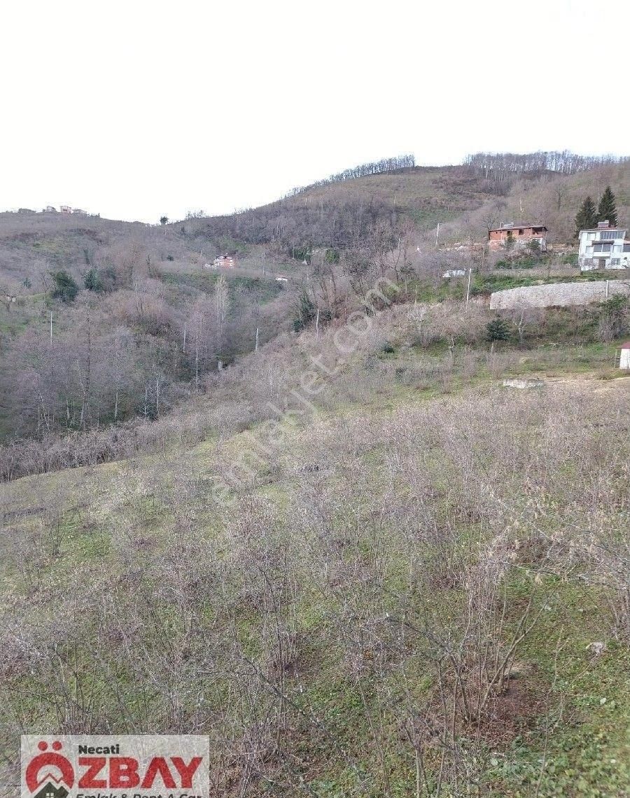 Kayadibi Mahallesinde Satılık 12 Dönüm Arazi - Görsel 15