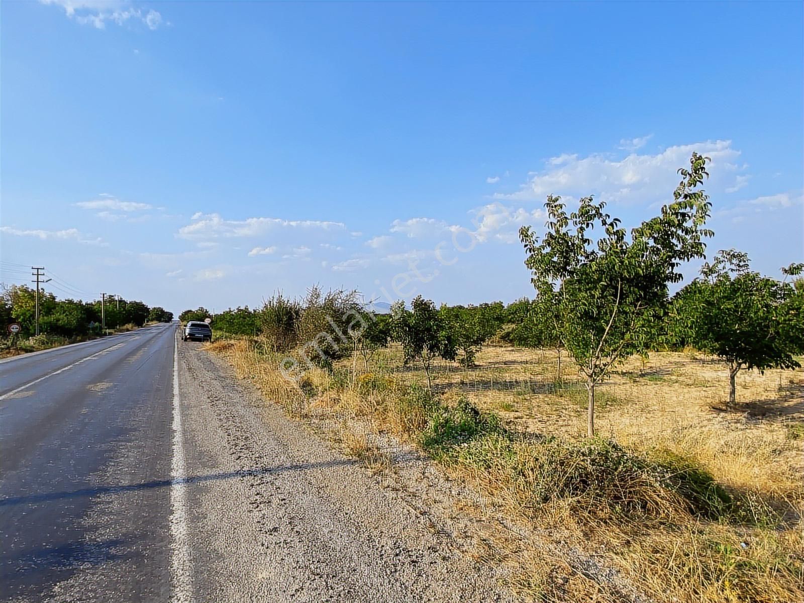 Binyapıdan İsabeyde,ana Yol Cepheli Yerleşime Yakın Fırsat Bahçe - Görsel 10
