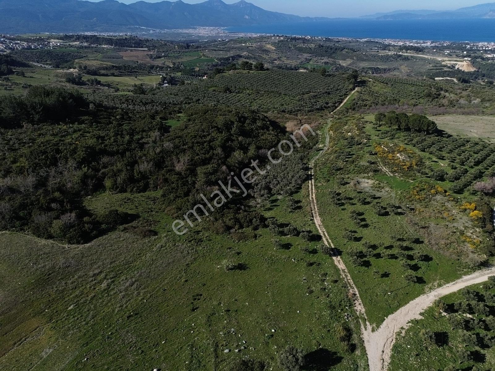 Kuşadası'nda Deniz Manzaralı Yatırıma Uygun Arsalar... - Görsel 13