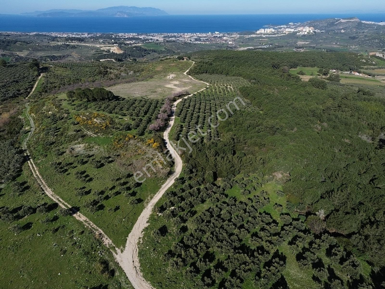 Kuşadası'nda Deniz Manzaralı Yatırıma Uygun Arsalar... - Görsel 12