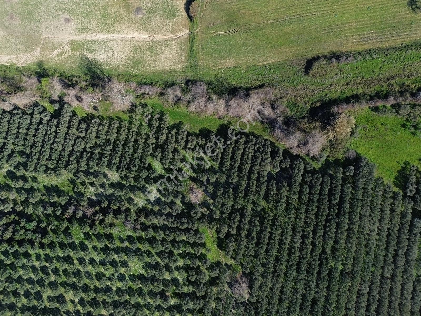Kuşadası'nda Deniz Manzaralı Yatırıma Uygun Arsalar... - Görsel 16