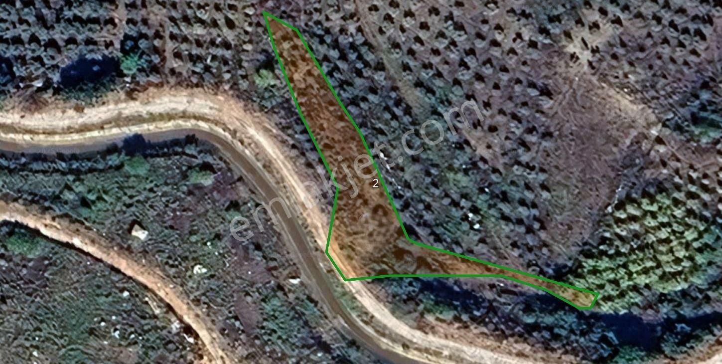 Goldhouse Dan Satılık Çaykenarında Satılık Tarla - Görsel 4