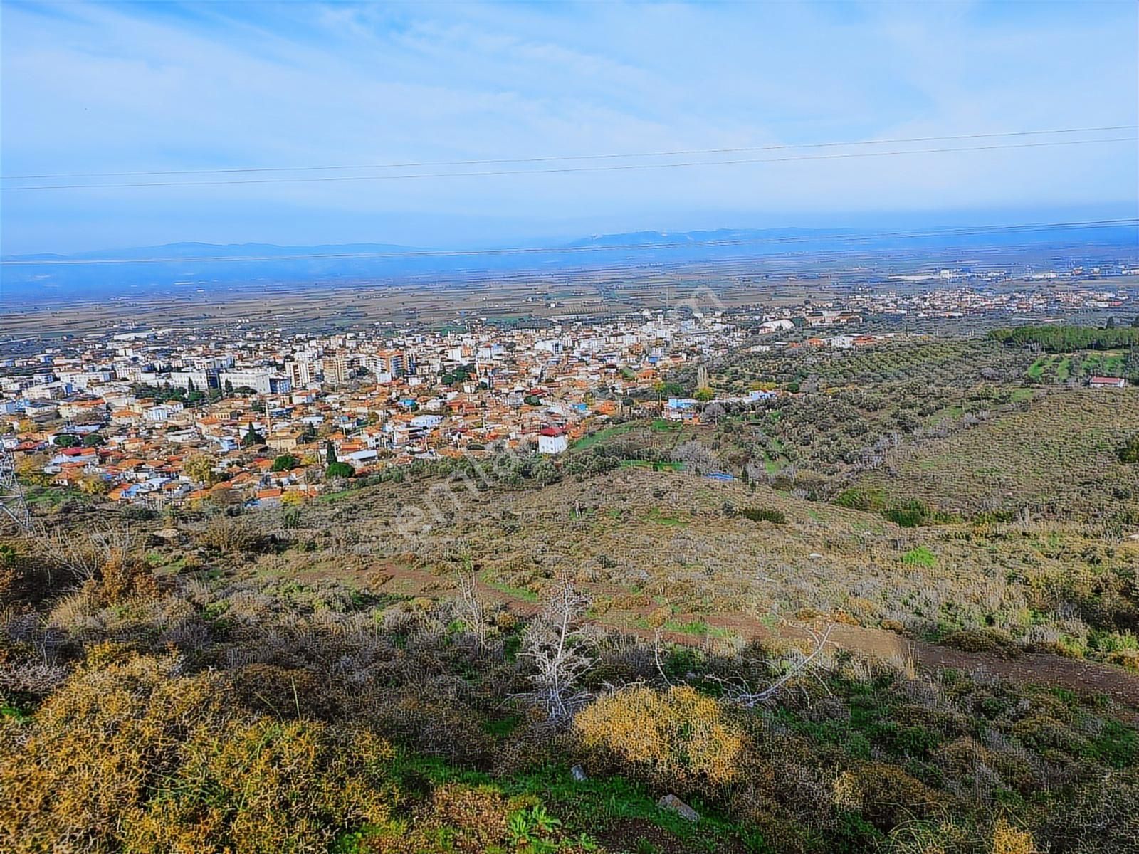 Kınık'ta 2.475 M2 Tek Tapulu Satılık Zeytinlik - Görsel 11