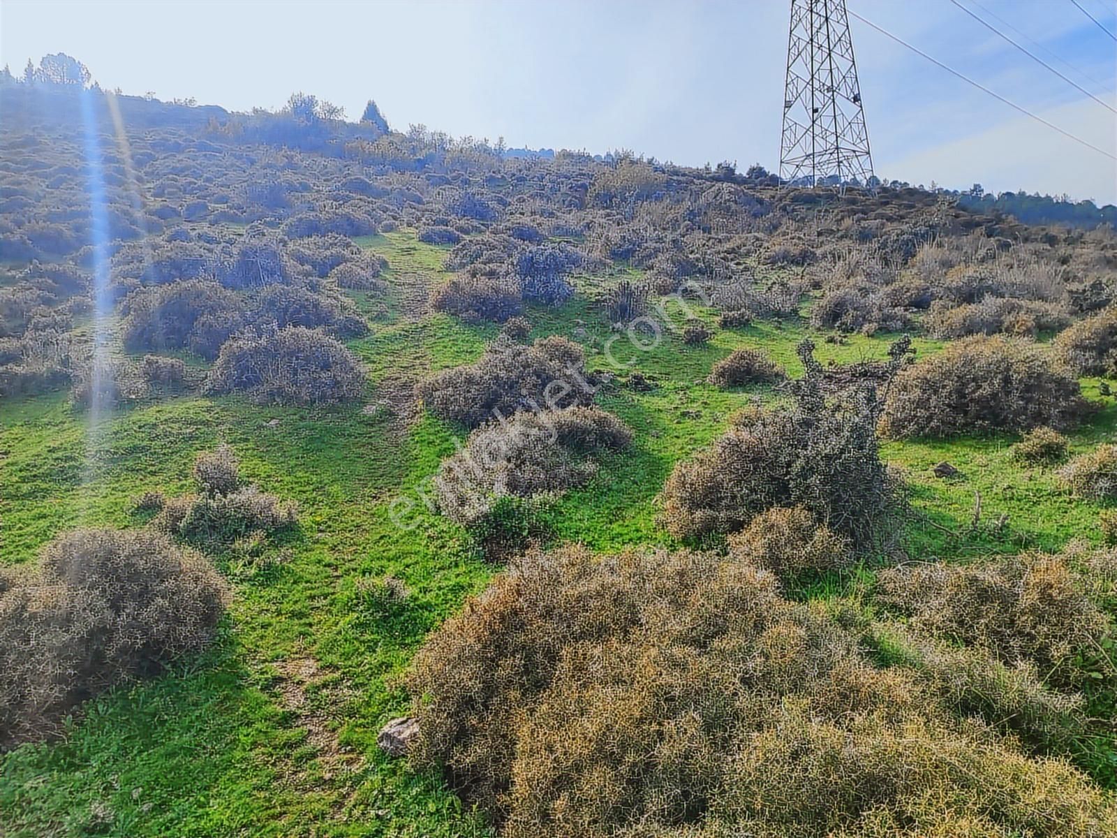 Kınık'ta 2.475 M2 Tek Tapulu Satılık Zeytinlik - Görsel 15