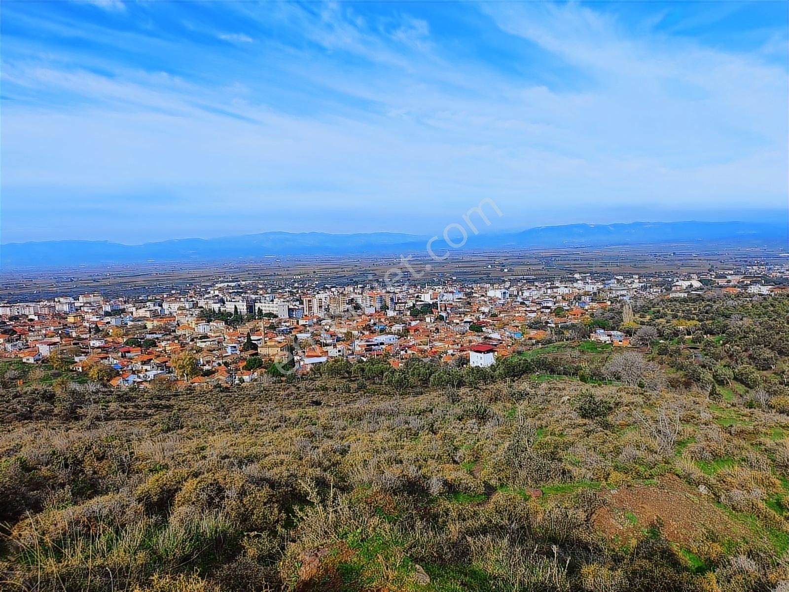Kınık'ta 2.475 M2 Tek Tapulu Satılık Zeytinlik - Görsel 9