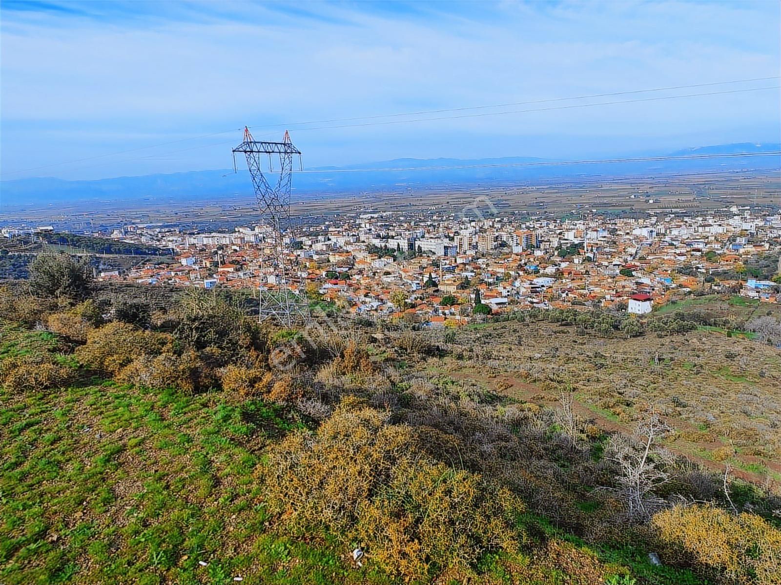 Kınık'ta 2.475 M2 Tek Tapulu Satılık Zeytinlik - Görsel 14