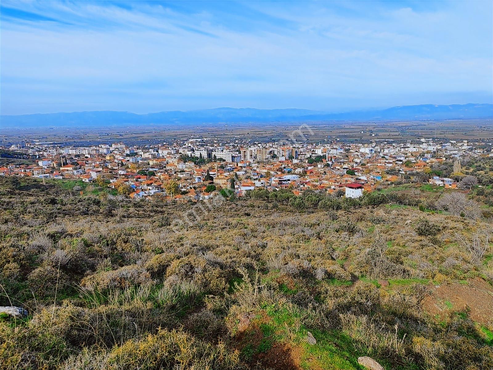 Kınık'ta 2.475 M2 Tek Tapulu Satılık Zeytinlik - Görsel 10
